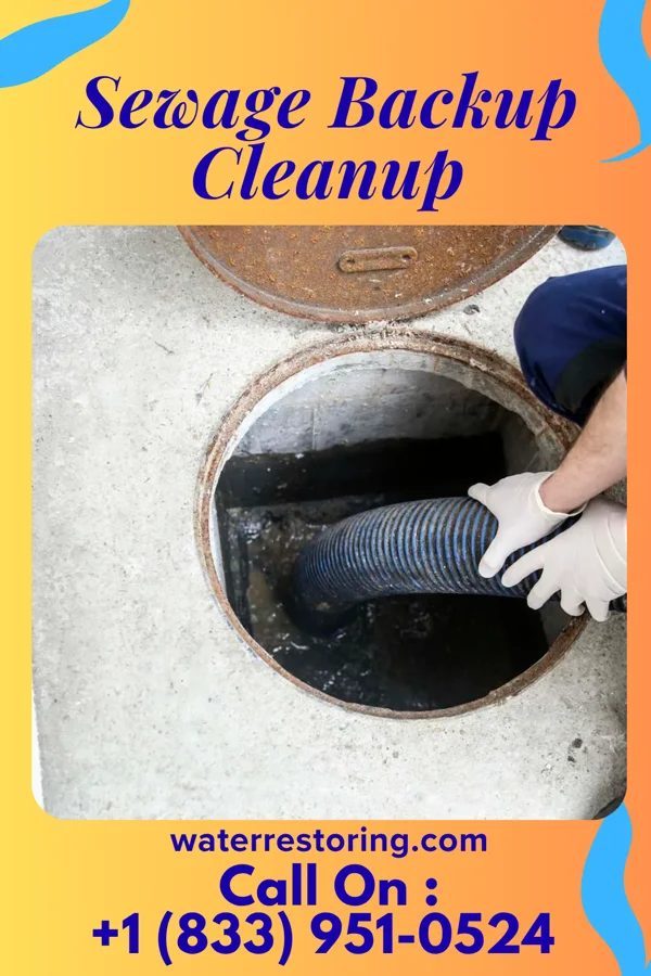 Sewage Backup Cleanup in Gordonsville, VA