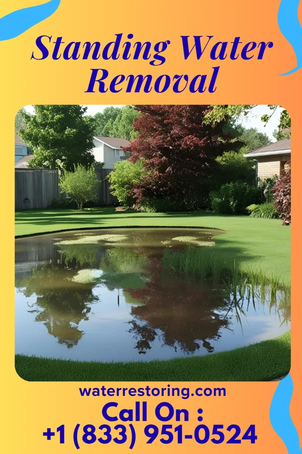 Standing Water Removal in Gordonsville, VA